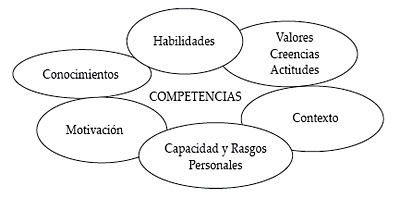 Componentes de las competencias en una organización